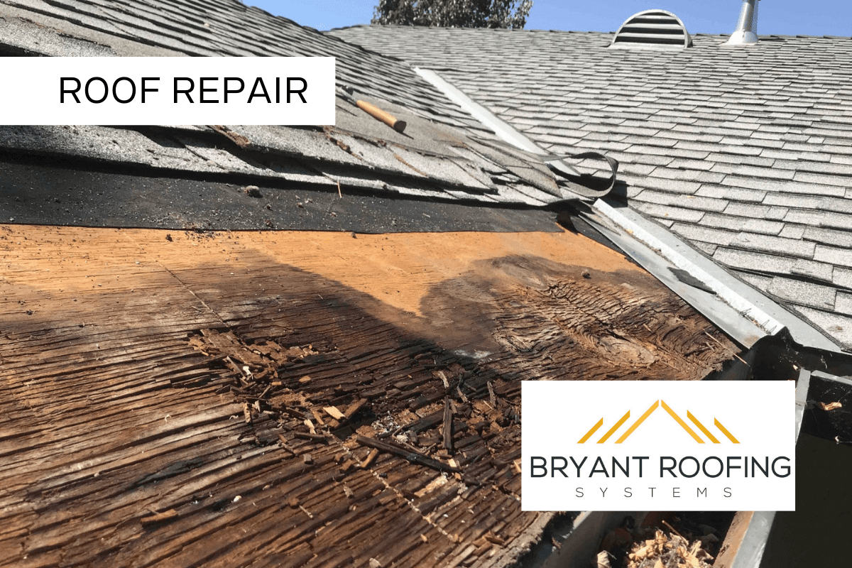 roof rot